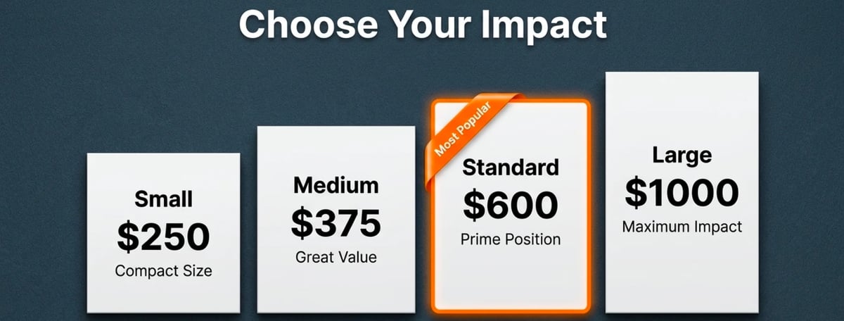 Pricing plan comparison showing four tiers: Small $250, Medium $375, Standard $600 (highlighted), and Large $1000